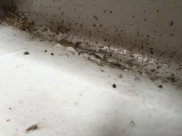 防水工事もおまかせ